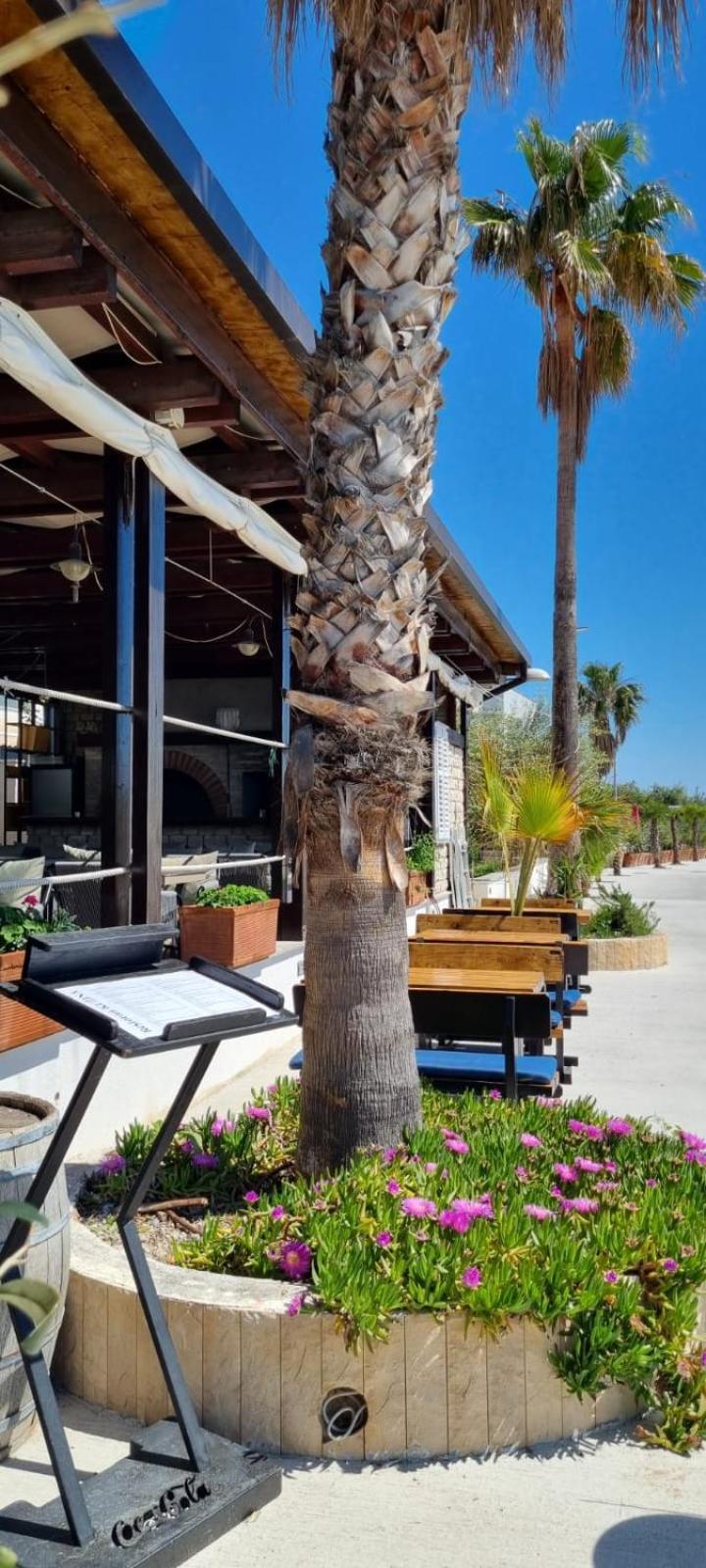 Hotel San Antonio Подстрана Екстериор снимка